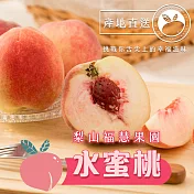 *預購【梨山福慧果園】水蜜桃10粒(2斤8兩/盒)(7/20開始出貨)