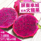 【產地直送】屏東車城紅肉火龍果5斤X4箱(7-8顆/箱)