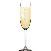 《TESCOMA》晶透香檳杯(220ml) | 調酒杯 雞尾酒杯