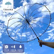 【下雨的聲音】日本訂單16骨防風加厚透明直傘長柄傘(二色) 黑色