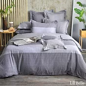 義大利La Belle《魅力紳士》單人純棉防蹣抗菌吸濕排汗兩用被床包組