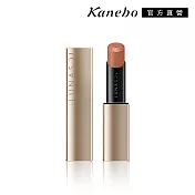 【Kanebo 佳麗寶】LUNASOL 魅力豐潤艷唇膏-絲緞光 4.4g #EX10