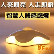 【iSFun】光之幸運草＊USB充電光控人體感應壁燈 白光