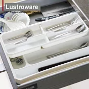 【Lustroware】日本岩崎日本製雙層餐具整理盒(原廠總代理)