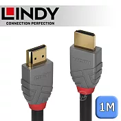 LINDY 林帝 ANTHRA HDMI 2.1 Type-A 公 to 公 傳輸線 1m (36952)