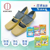【日本小久保KOKUBO】日本製可重複使用系列防霉除臭除溼袋-多用途可挑選- 鞋靴專用(6入)