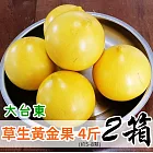 【鮮食優多】大台東  草生黃金果4斤(約5-8顆) 2盒
