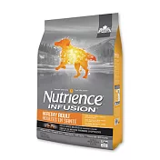 【Nutrience 紐崔斯】INFUSION天然犬糧-2.27kg 天然成犬(雞肉+火雞+鮭魚)
