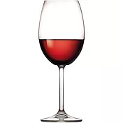 《TESCOMA》晶透紅酒杯(450ml) | 調酒杯 雞尾酒杯 白酒杯