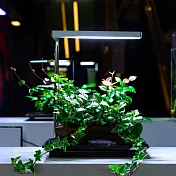 ONF｜Flat Nano 桌上型植物生長燈 水族燈 （極簡銀）