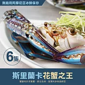 【優鮮配】巨無霸斯里蘭卡公花蟹6隻(350-400g/隻) 免運組