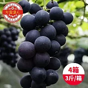 【水果達人】台灣一級巨峰葡萄x4箱(3斤±10%/箱)