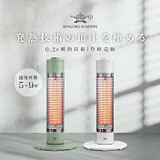 日本Aladdin 阿拉丁石墨遠紅外線電暖器SH-G600T(綠色/白色) 白色