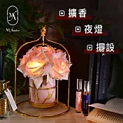 【愛莯】6朵玫瑰花LED夜燈鳥籠架系列(附贈USB充電插頭) 粉色大理石紋鳥籠