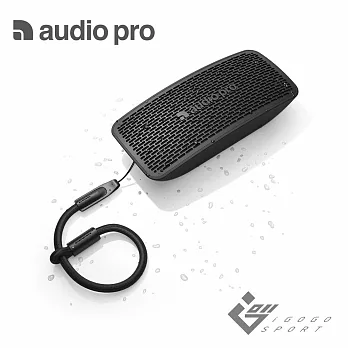 Audio Pro P5 藍牙喇叭