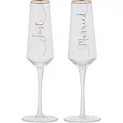 《CreativeTops》Ava香檳杯2件(結婚吧250ml) | 調酒杯 雞尾酒杯
