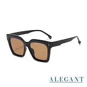 【ALEGANT】古橙棕韓系時尚幾何貓眼方框墨鏡/UV400太陽眼鏡