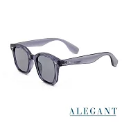 【ALEGANT】曦夏冰晶灰時髦日常威靈頓粗框輕量TR90寶麗來偏光墨鏡/UV400太陽眼鏡