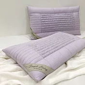 澳洲Simple Living 星光銀纖維紫水晶能量枕-一入(40x70cm)