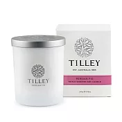【Tilley 皇家特莉】澳洲原裝微醺大豆香氛蠟燭240g-希臘盛夏無花果