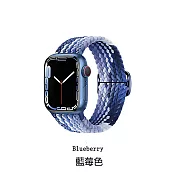 HOTGO Apple Watch 編織回環錶帶 藍莓色