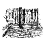 【玲廊滿藝】李曙初-登山小徑上的美麗森林21x29.7cm