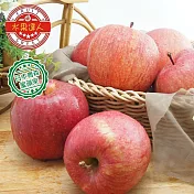 【水果達人】日本青森富士蜜蘋果 XL 10顆 1箱(250g ±10%/顆)