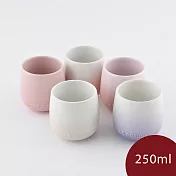 Le Creuset 花蕾系列 馬克杯組 250ml 5入 貝殼粉/淡粉紅/淡粉紫/牛奶粉/蛋白霜
