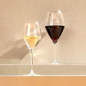 《VEGA》Amilia紅酒杯(500ml) | 調酒杯 雞尾酒杯 白酒杯