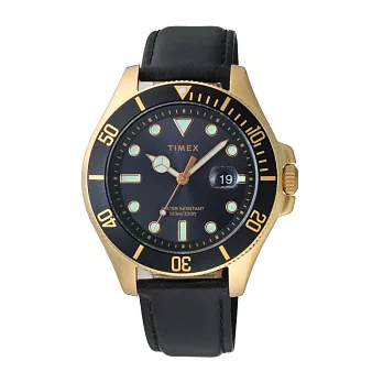 TIMEX 簡約紳士皮帶腕錶-金X黑帶