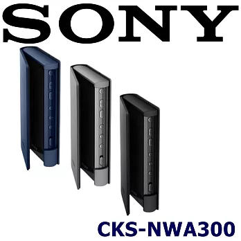 SONY CKS-NWA300 NW-A306 系列專用高質感掀蓋式保護套 3色 黑色