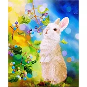【玲廊滿藝】Miu.ch-彩光森林裡的小兔小（漢氏山葡萄）27x22cm
