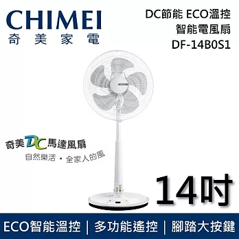 CHIMEI 奇美 DF-14B0S1 桌立扇 14吋 電風扇 電扇 風扇 台灣公司貨