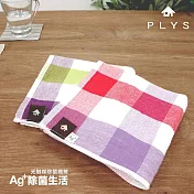 【PLYS】Ag+銀離子抗菌纖維吸水方巾(34*34cm/兩件組) 紅格紋*2