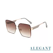 【ALEGANT】輕裸時尚絲光漸層棕質感方框墨鏡/UV400太陽眼鏡