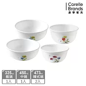 【美國康寧 CORELLE】花漾彩繪4件式餐碗組-D10