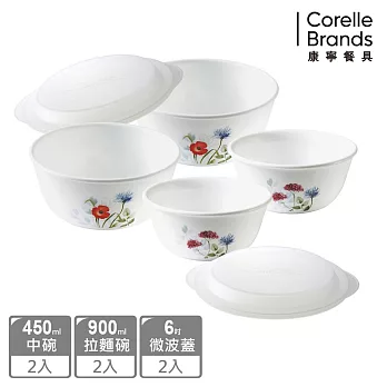 【美國康寧 CORELLE】花漾彩繪6件式餐碗組-F11