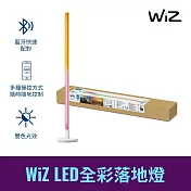 Philips 飛利浦 WiZ LED全彩落地燈 (PW016) /立燈