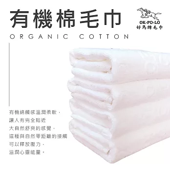 【OKPOLO】台灣製造有機棉吸水毛巾-12入組(吸水厚實柔順)