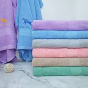 【OKPOLO】台灣製造好馬繡花素色浴巾-2條入(柔順厚實) 隨機