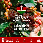 (生豆)E7HomeCafe一起烘咖啡 AI智能挑豆肯亞AA水洗單品咖啡生豆500克
