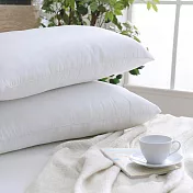 MONTAGUT-鋪棉對枕(46x68cm)