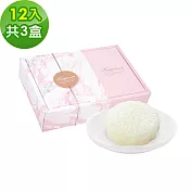 樂活e棧-花漾蒟蒻冰晶凍-檸檬口味12顆x3盒(全素 甜點 冰品 水果) D+7