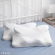 義大利La Belle《扶眠枕超紓壓機能記憶枕》