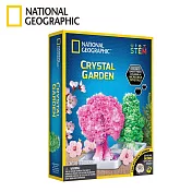 National Geographic 紙樹開花 水晶花園實驗套組