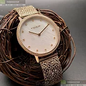 COACH蔻馳精品錶,編號：CH00147,26mm圓形金色精鋼錶殼貝母錶盤米蘭金色錶帶