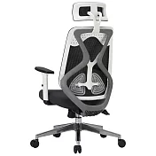 【Style 格調】仿生蝶型雙腰托 人體工學椅(脊椎解放/減壓/雙腰托設計/電腦椅/辦公椅) 純淨白