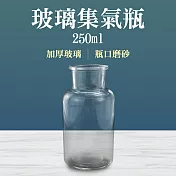 瓶瓶罐罐 玻璃瓶 250ml 2入 藥瓶 氣體收集器 廣口玻璃瓶 玻璃罐批發 玻璃罐 分裝罐 CGB250