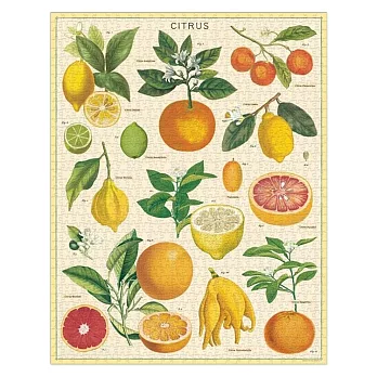 美國 Cavallini & Co. 1000片拼圖  柑橘類