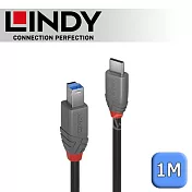 LINDY 林帝 ANTHRA USB3.2 Gen1 Type-C/公 to Type-B/公 傳輸線 1m (36666)